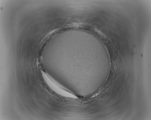 X0000086011206200704201848
