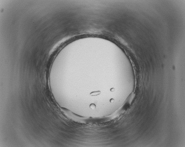 X0000086011214200704201848