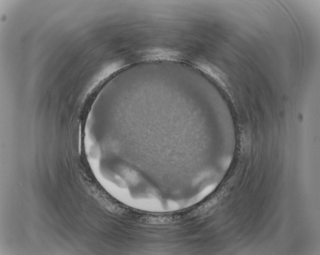 X0000086011219200704201848