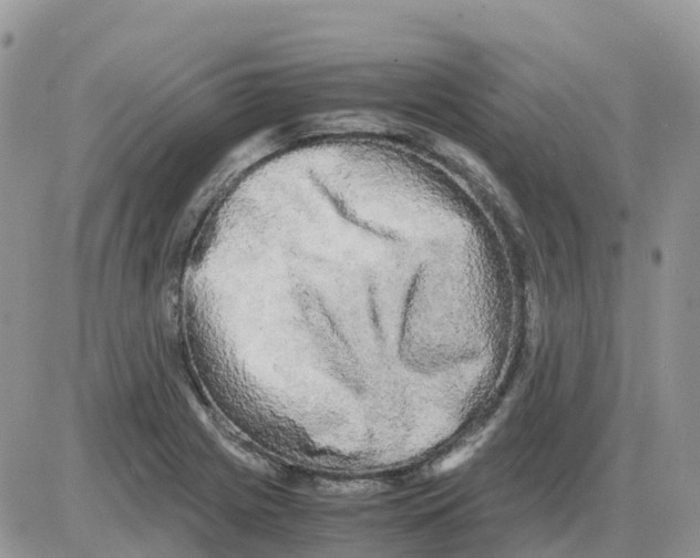 X0000086011225200704201848