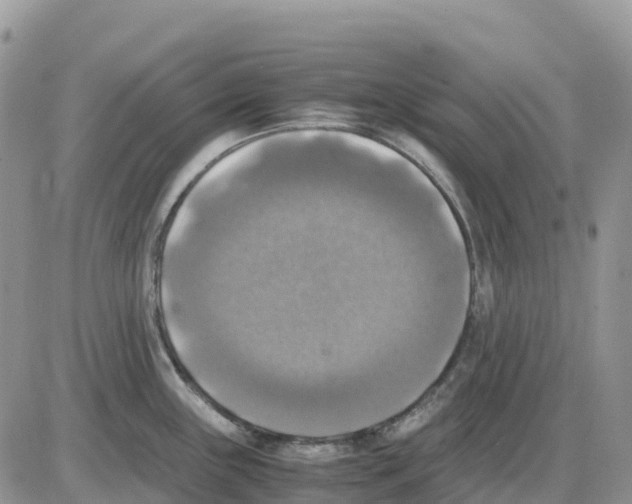 X0000086011243200704201848