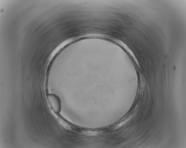 X0000086011245200704201848