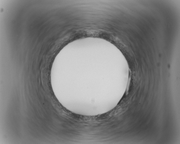 X0000086011249200704201847