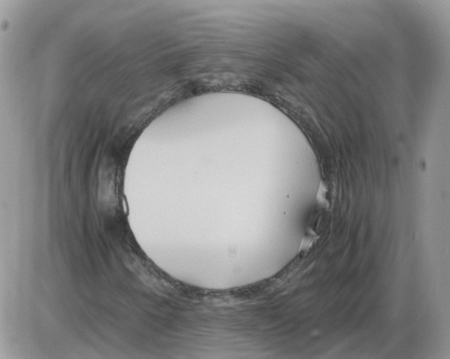 X0000086011250200704201847