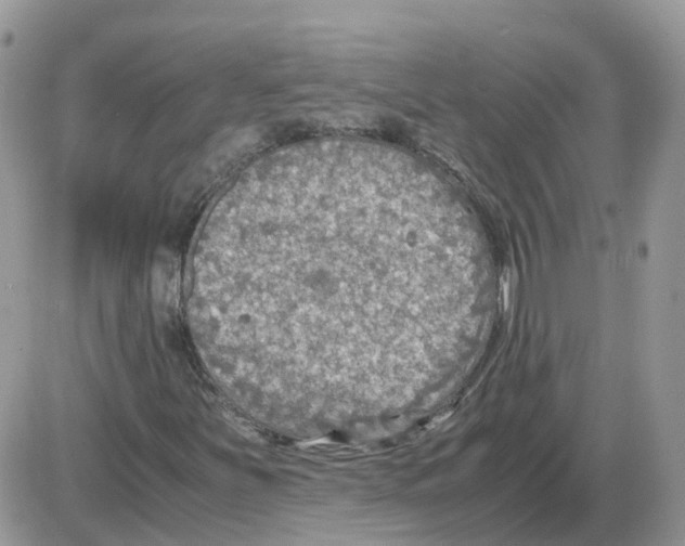 X0000086011251200704201847