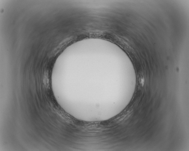 X0000086011252200704201847