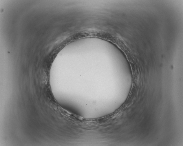 X0000086011253200704201847