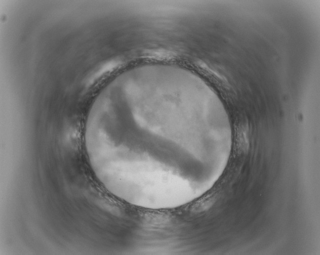 X0000086011254200704201847