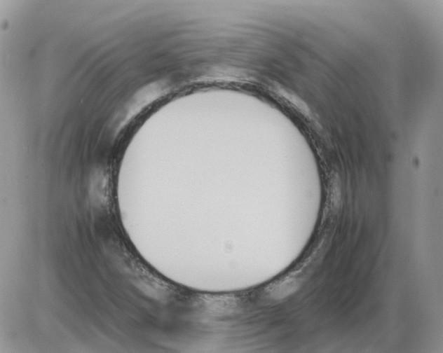 X0000086011258200704201847