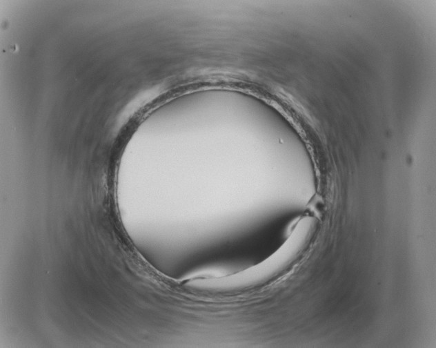 X0000086011261200704201847