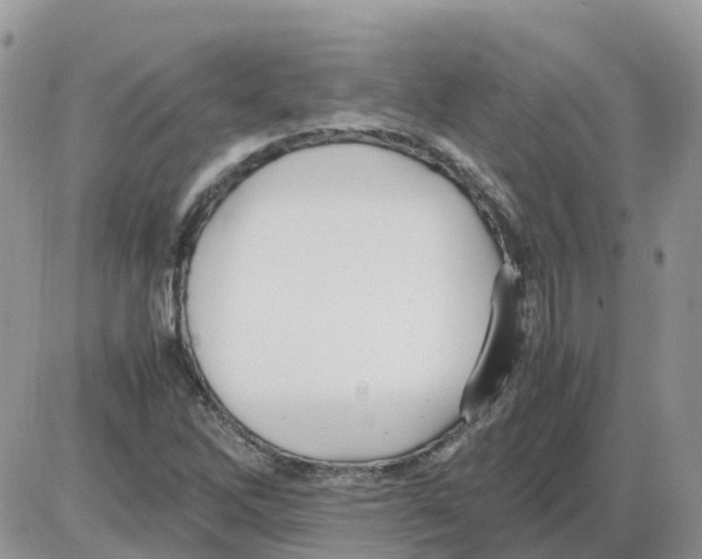 X0000086011262200704201847