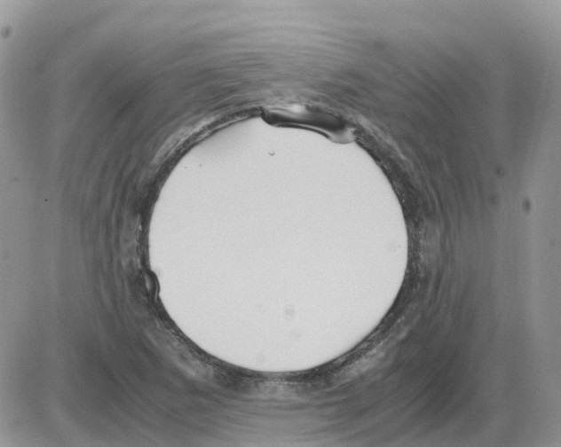 X0000086011265200704201847