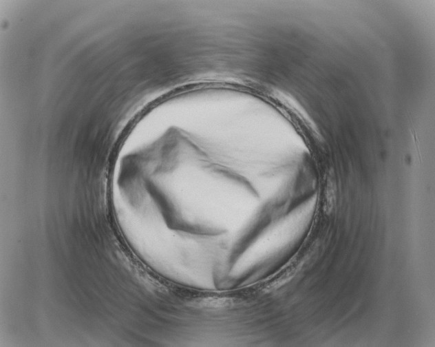 X0000086011268200704201847