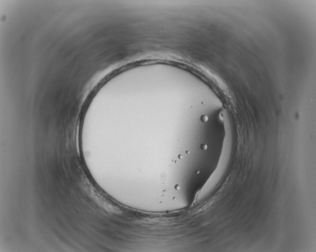 X0000086011272200704201847