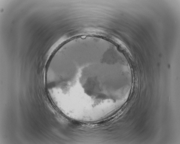 X0000086011275200704201847