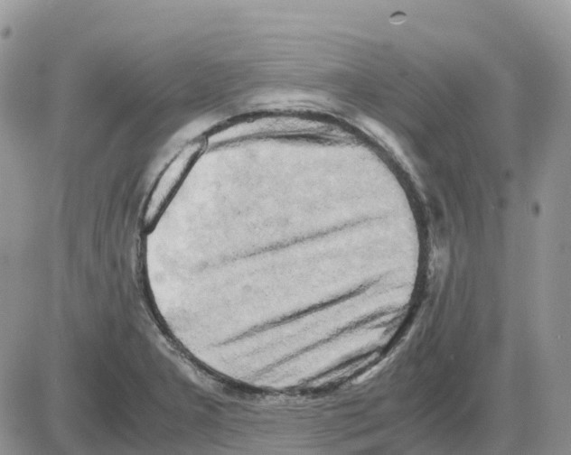 X0000086011277200704201847