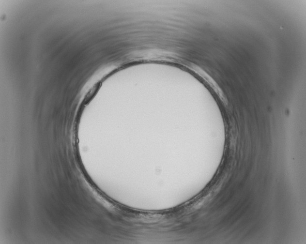 X0000086011285200704201847