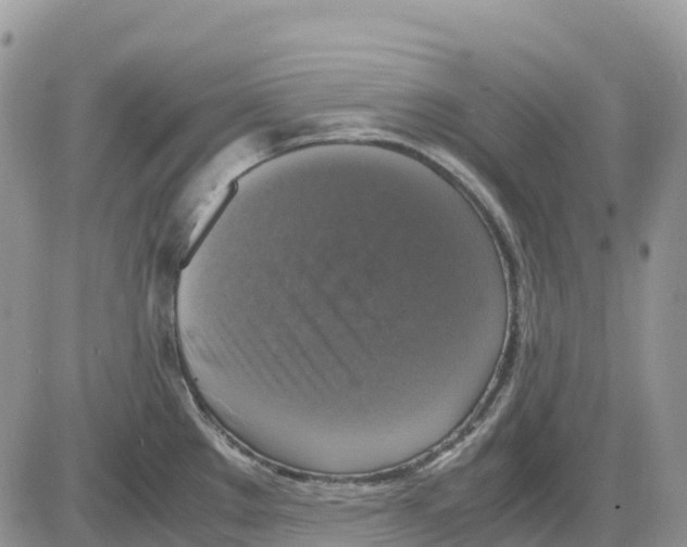 X0000086011289200704201847
