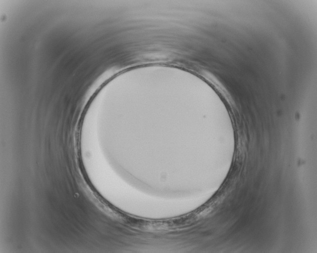 X0000086011291200704201847