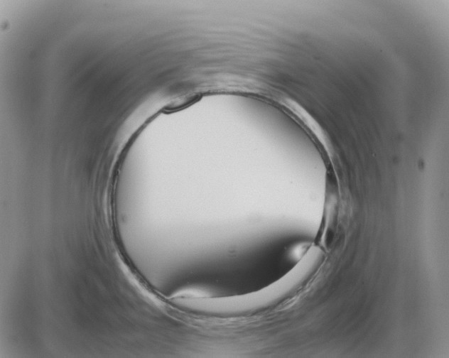 X0000086011293200704201847