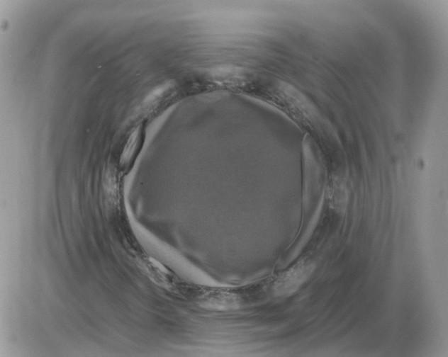 X0000086011298200704201846