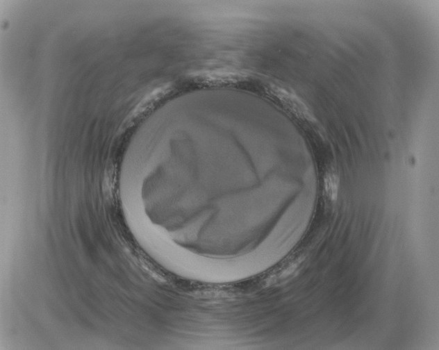 X0000086011300200704201846