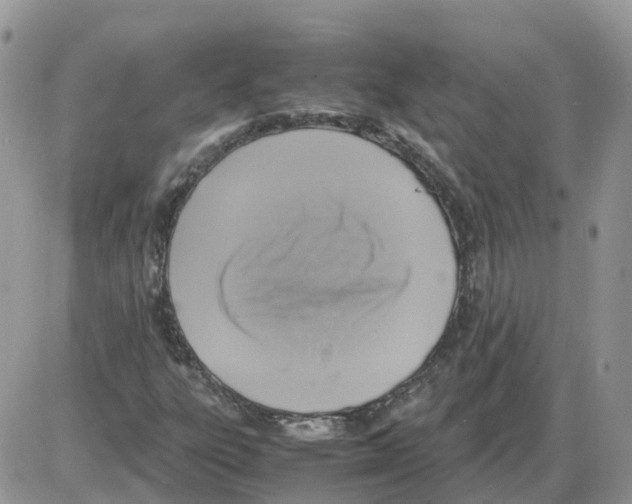 X0000086011303200704201846