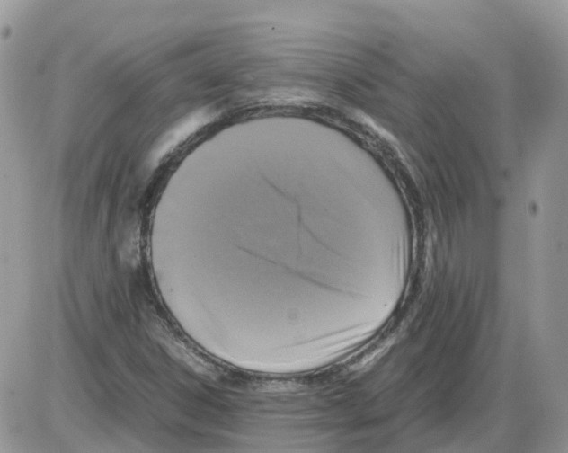 X0000086011306200704201846