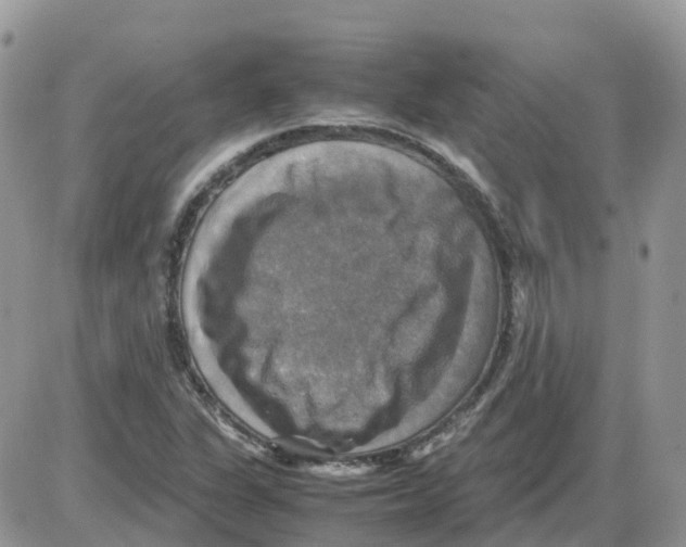 X0000086011311200704201846