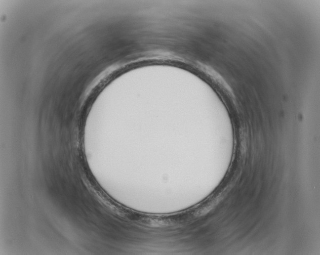 X0000086011318200704201846