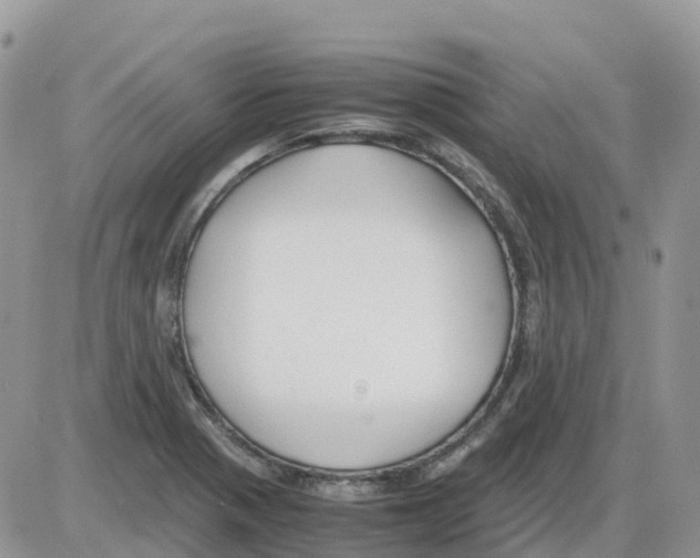 X0000086011321200704201846