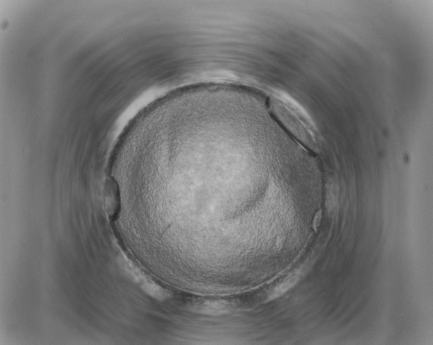 X0000086011326200704201846