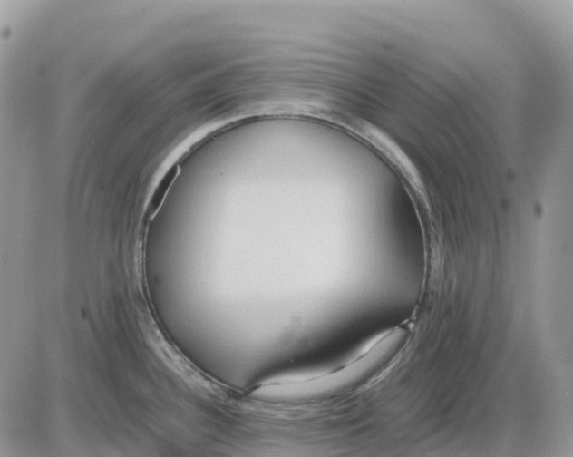 X0000086011340200704201847