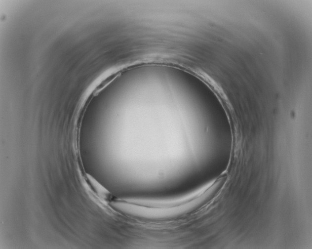 X0000086011342200704201847