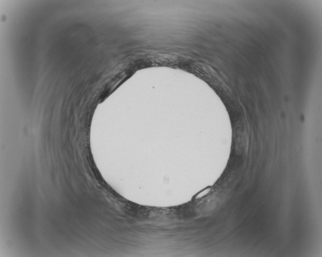 X0000086011345200704201846