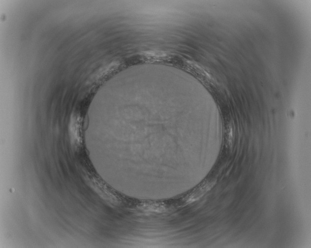 X0000086011346200704201846