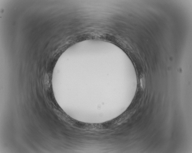 X0000086011347200704201846