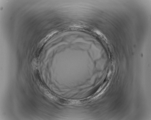 X0000086011353200704201846
