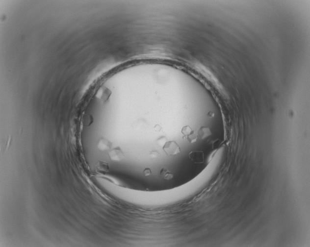 X0000086011356200704201846