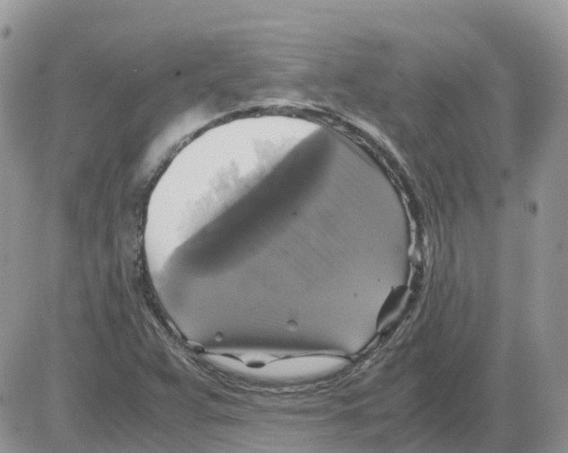 X0000086011359200704201846