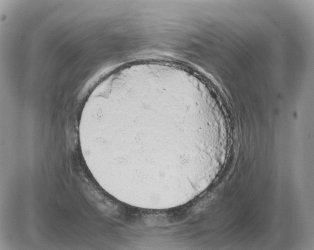 X0000086011363200704201846