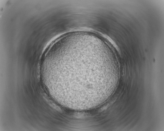 X0000086011364200704201846