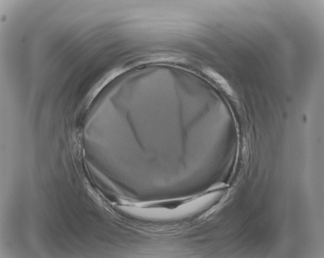 X0000086011369200704201846
