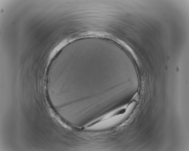 X0000086011373200704201845
