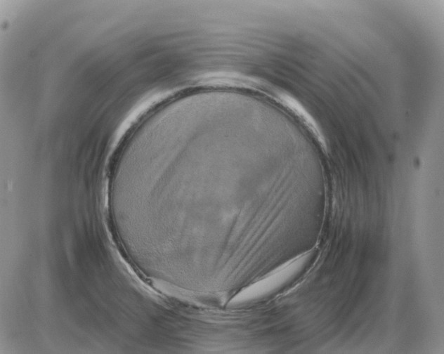 X0000086011376200704201845