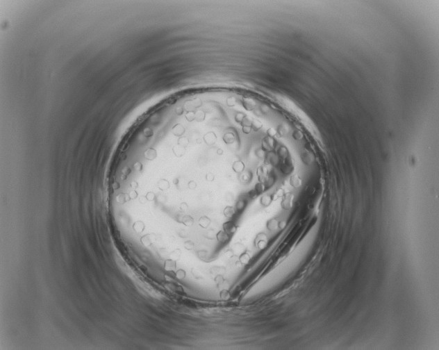 X0000086011380200704201845