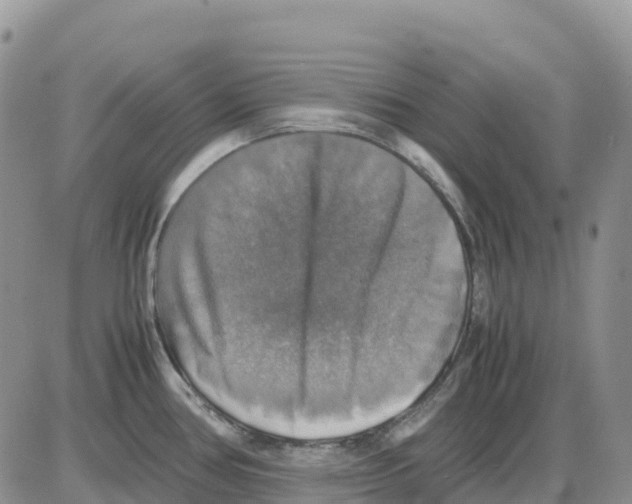 X0000086011386200704201845