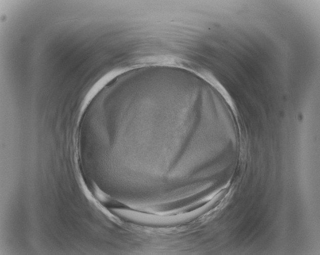 X0000086011389200704201845