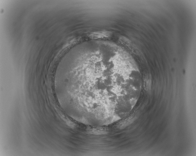 X0000086011393200704201844