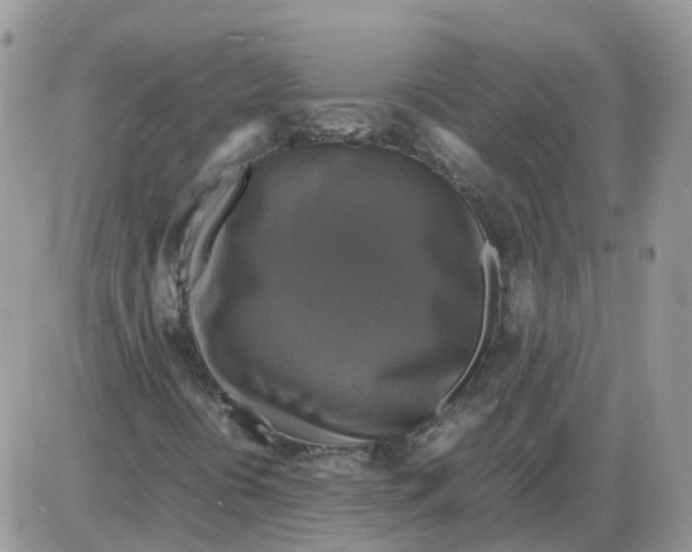 X0000086011394200704201844